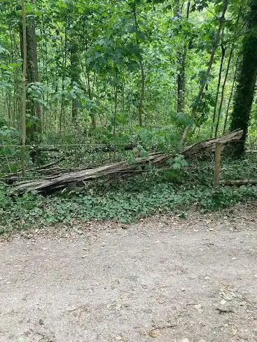Photo de Pog Log