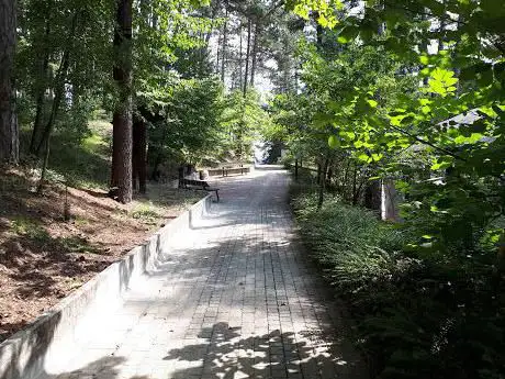 Pineta Di Casina