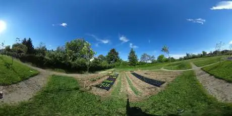 Bosco Antico - Bioparco