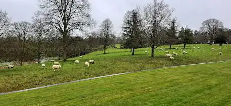 Photo de Glympton Park