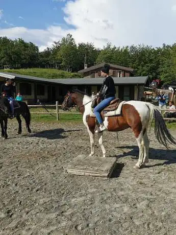 Ranch Balla coi Lupi