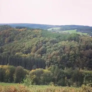 Point De Vue de la Croix De Saint-Remacle