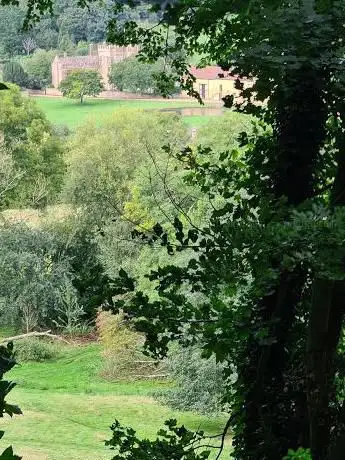 Photo de Park Covert - National Trust