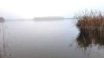 Photo de observatoire à oiseau