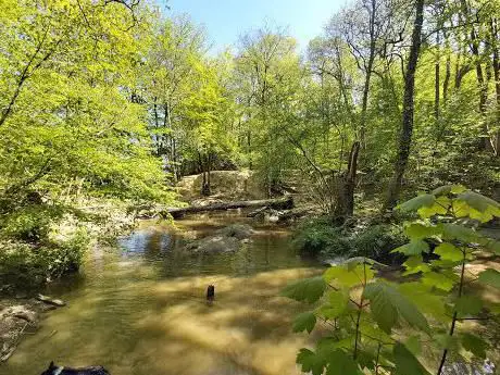 Photo de Bedelands Nature Reserve