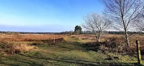 Photo de Knettishall Heath Natur Reserve SSSI and GSI Nature Reserve