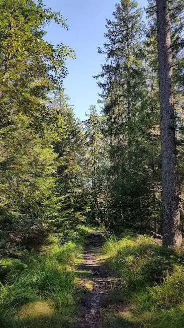 Kleemiss Hochmoor