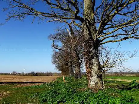 Photo de Hardley Staithe