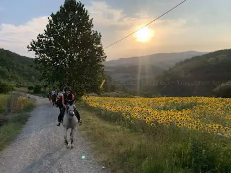 Photo de Ranch Sant'Antonio