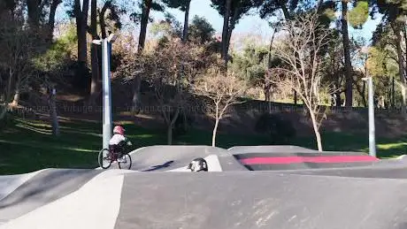 Photo de Pump Track Parque Grande José Antonio Labordeta
