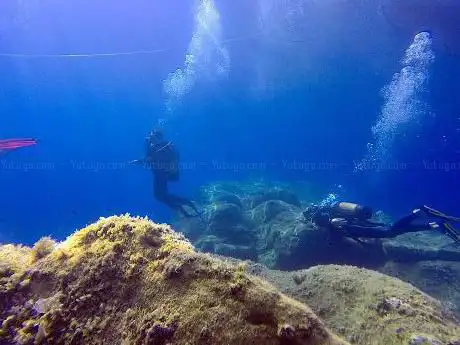 Pollo Diving Asd