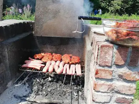 Boscoincittà