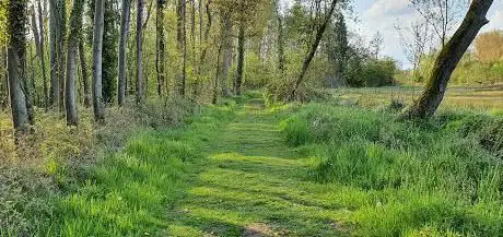 Natuurgebied De Spicht - Deelgebied De Spicht