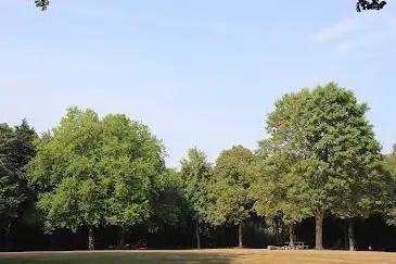 Speeltuin Palingbeek