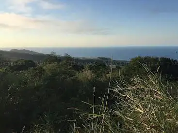 Vue de la forêt de la crête