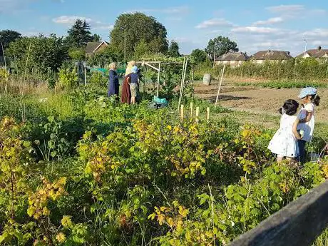Photo de Barley Lane Allotments