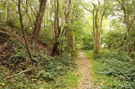 Photo de De oude spoorwegberm Duffel