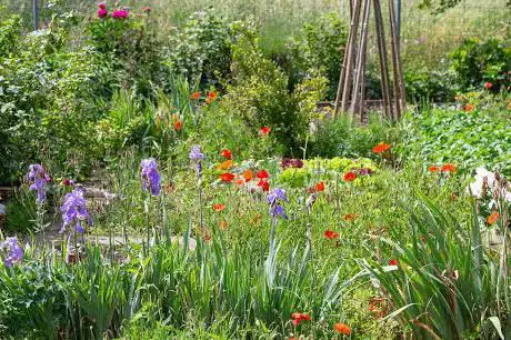 Familiengarten Trübacker