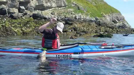 Sea Kayaking Anglesey