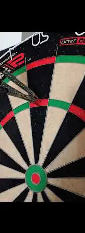 Dart Club Mugl