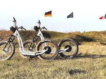 WildRiders