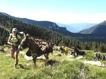 Photo de Altipyr Les Ânes Du Moli D'oli / Accompagnateur Montagne