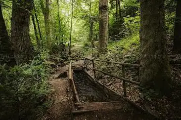 Barefoot Hiking Trail Zellweierbach