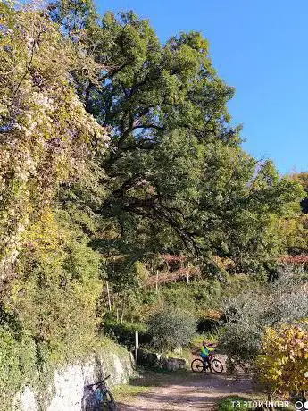 La Quercia Sacra