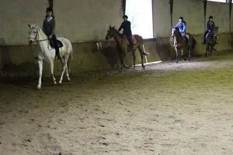 Centre Equestre Les Fauvettes