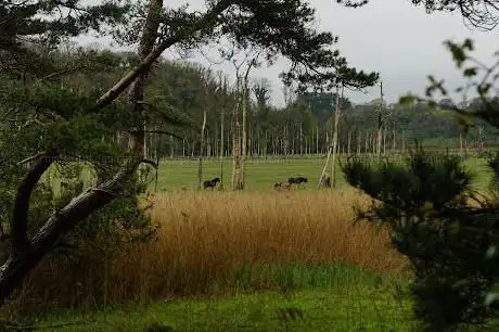 Landimore Marsh