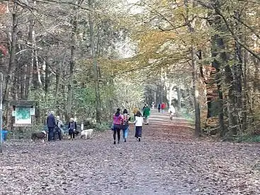 Photo de Park and Ride Waldfriedhof