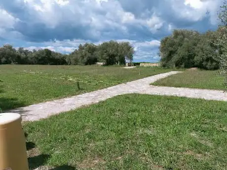 Parco degli Ulivi