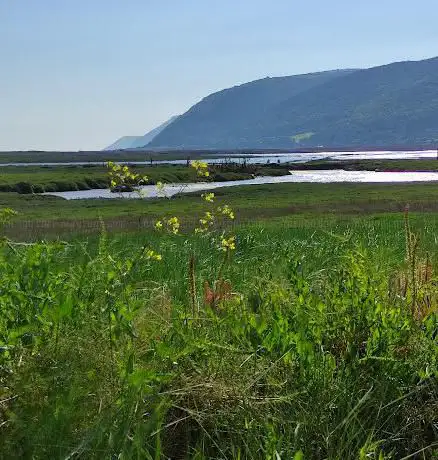 Porlock Marsh