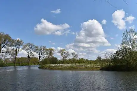 Photo de Hoge Bomen - Oude Leie
