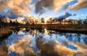 Photo de Foulshaw Moss Nature Reserve