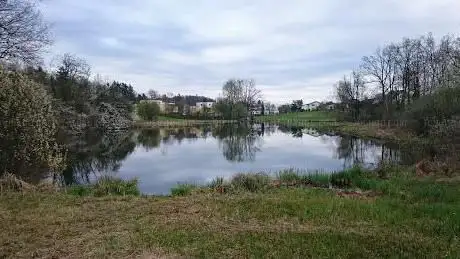 Nägelimoos