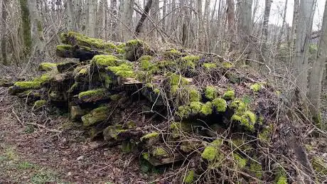 Photo de L'Arrêt de Bambois