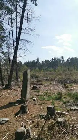 Standing stone
