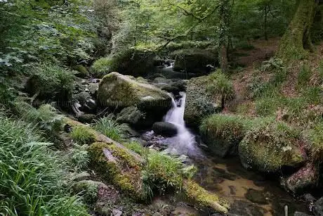 Kennall Vale Nature Reserve