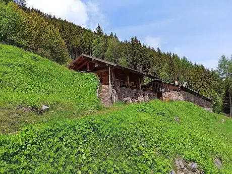 Ex malga Sprugio Bassa