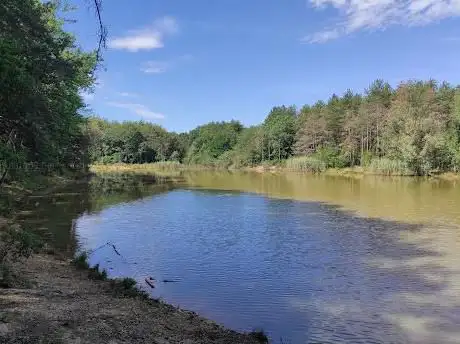 Étang de la forêt de Sénart