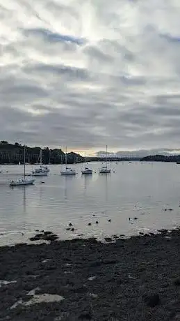 Tamar viewing point