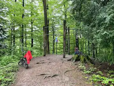 Entlisbergwald