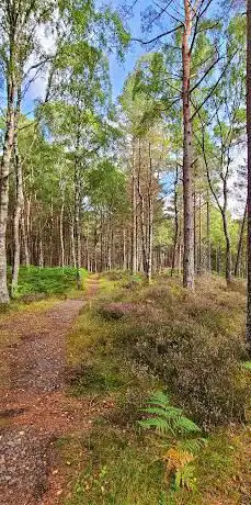 Photo de Cambus o'May Forest Trails
