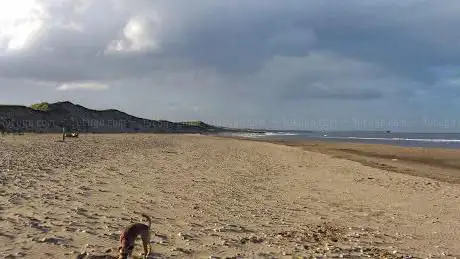 Crimdon Dene Beach
