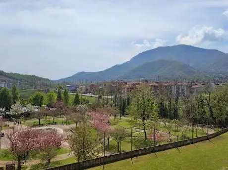 Photo de Parco del ciliegio