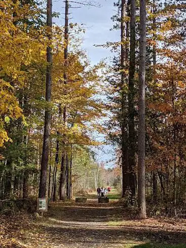 Larose Forest Cross-Country Ski Trail