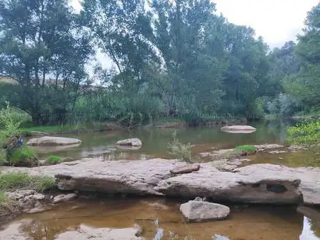 Photo de La Roca Tinyosa