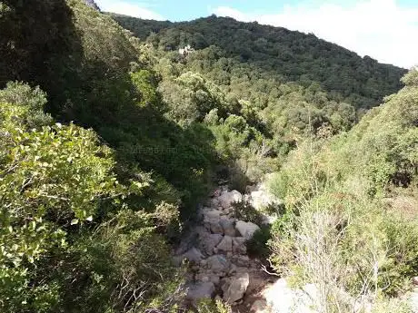 Sbarra Verde