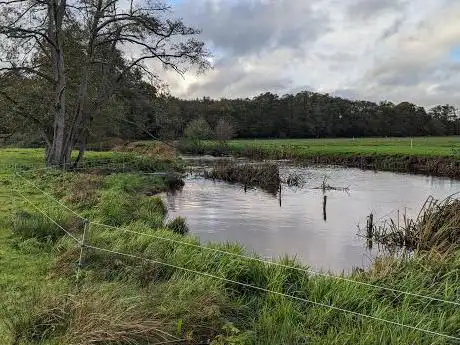 Photo de Thundry Meadows